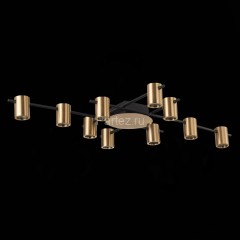 Потолочная люстра ST Luce SL1207.402.10