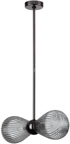 Потолочная люстра Odeon Light 5417/2