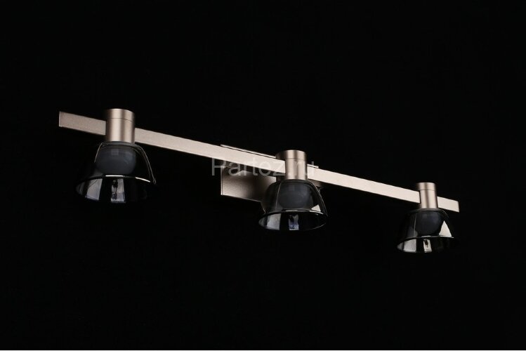 Настенный светильник Aployt APL.788.01.03