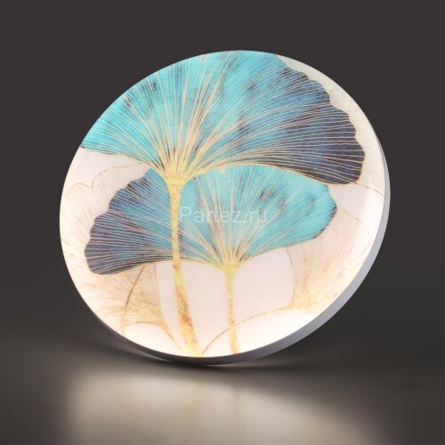 Настенно-потолочный светильник Sonex 7747/EL