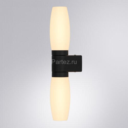 Настенный светильник Arte Lamp A1209AP-2BK