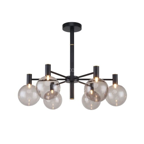 Потолочная люстра Favourite 2766-6P