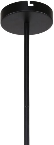 Потолочная люстра F-Promo 3088-6P