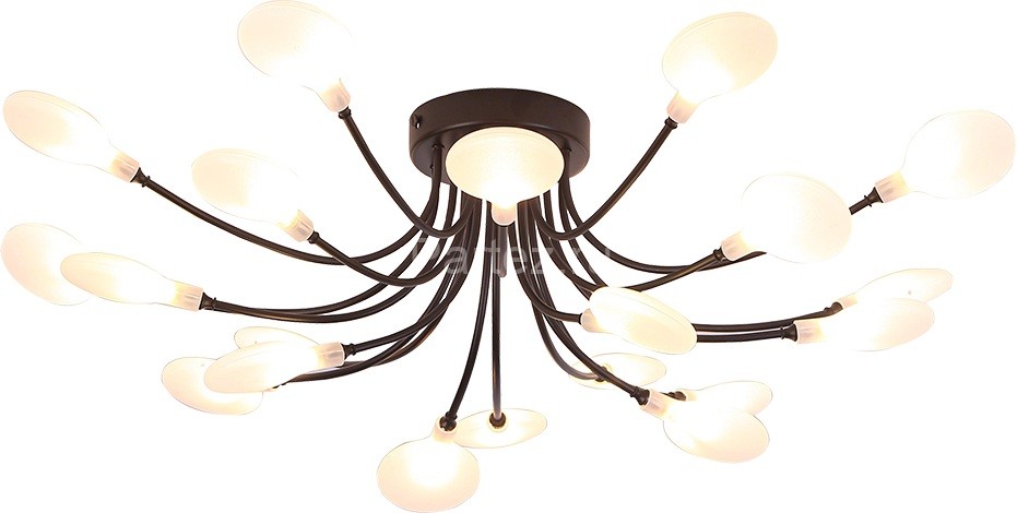 Потолочная люстра Arte Lamp A7423PL-20BK