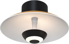 Настенный светильник Favourite 4287-1W