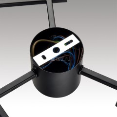 Потолочная люстра Lumion 8186/6C