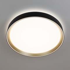 Потолочный светильник Citilux CL751351G