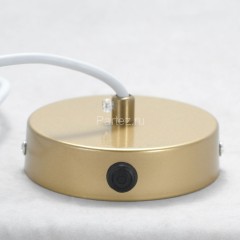 Подвесной светильник Lussole LSP-8354