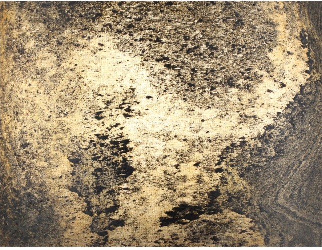 Бра Odeon Light 5064/1W