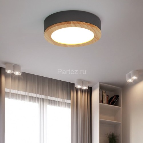 Потолочный светильник ImperiumLoft WUDDA01