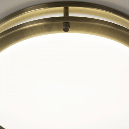 Настенно-потолочный светильник Citilux CL709323N