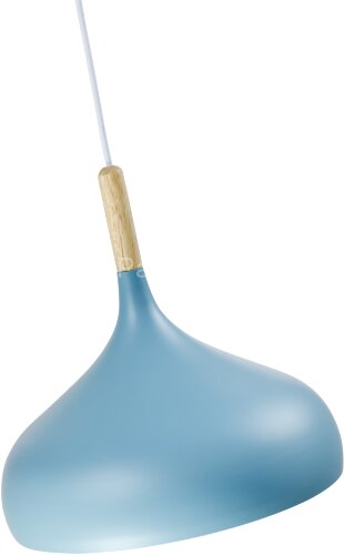 Подвесной светильник Moderli V1295-1P