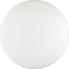 Настенно-потолочный светильник Sonex 3043/DL