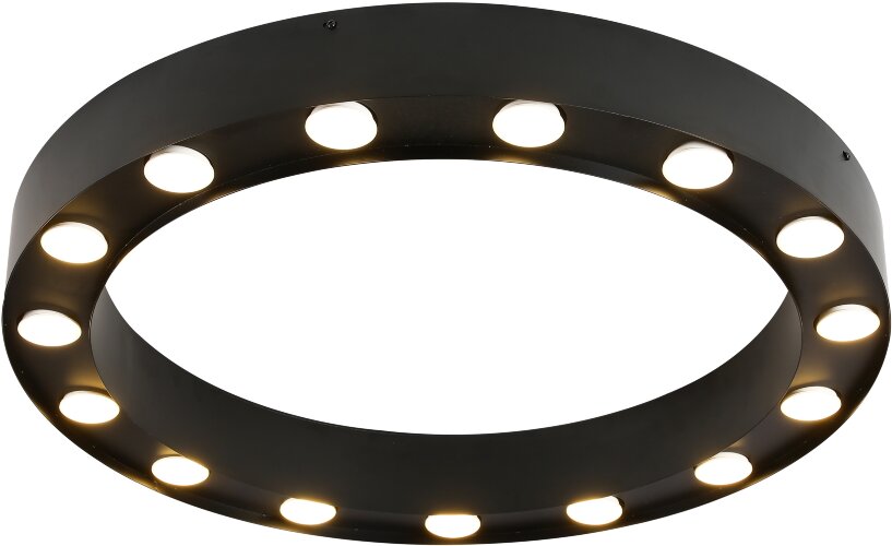 Потолочный светильник Favourite 3007-15U