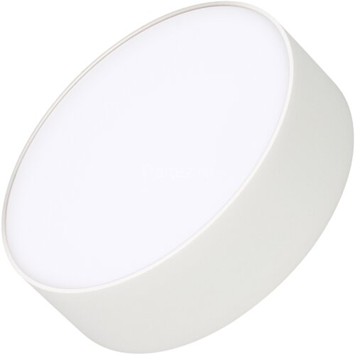 Потолочный светильник Arlight 021777(2)