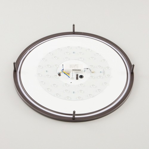 Настенно-потолочный светильник Citilux CL709505N