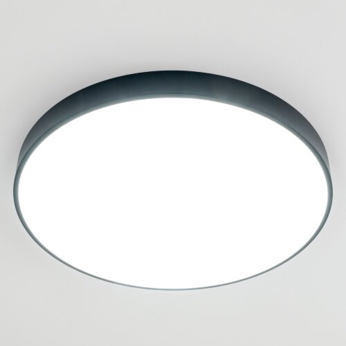 Потолочный светильник Citilux CL724105G1