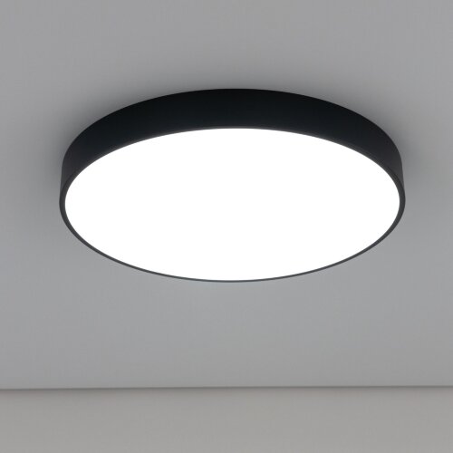 Потолочный светильник Citilux CL72495G1