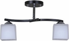 Потолочная люстра Reluce 03213-0.3-02