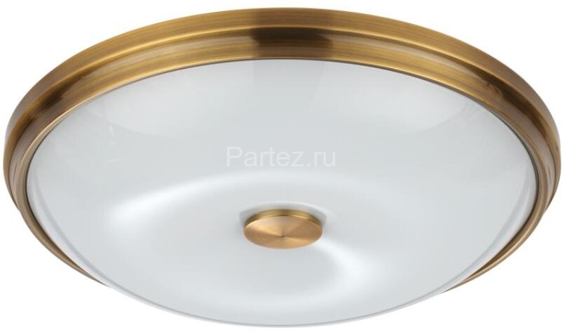 Настенно-потолочный светильник Odeon Light 4956/4