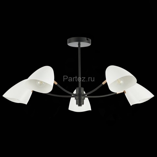 Потолочная люстра Evoluce SLE103602-05