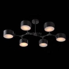 Потолочная люстра Evoluce SLE183402-06