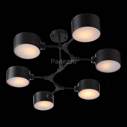 Потолочная люстра Evoluce SLE183402-06