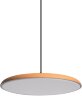 Подвесной светильник Loft It 10119 Orange