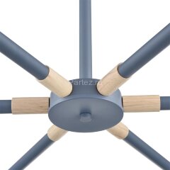 Потолочная люстра Lumion 8098/6C