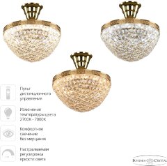 Потолочная люстра Bohemia 19321/25IV/LED-DIM G