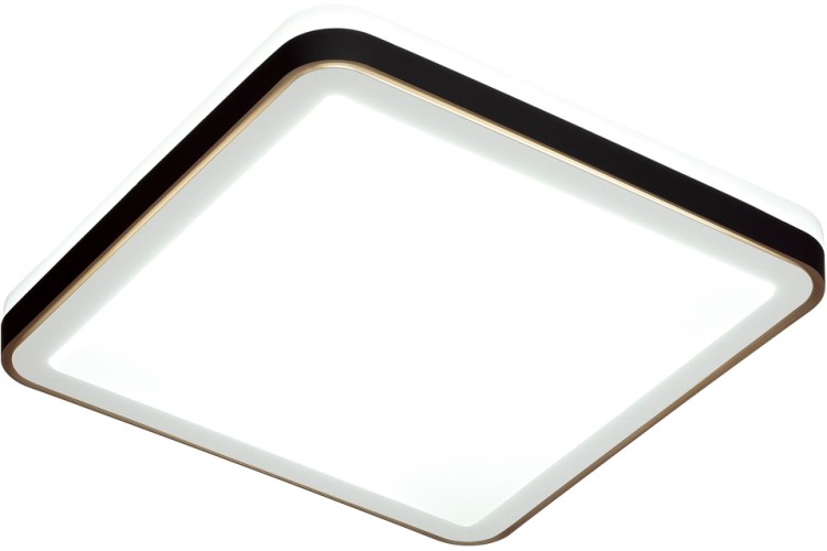 Настенно-потолочный светильник Sonex 7621/DL