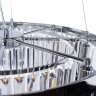 Подвесная люстра Arte Lamp A1003LM-8CC