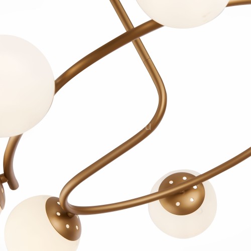 Потолочная люстра Evoluce SLE220602-08