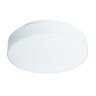 Потолочный светильник Arte Lamp A6818PL-1WH