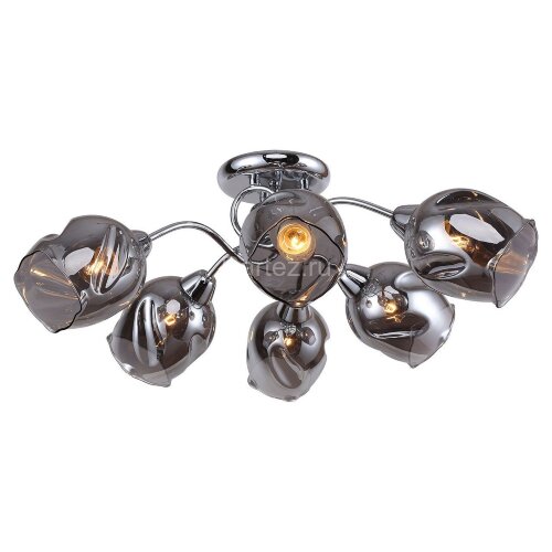 Потолочная люстра Lussole LGO LSP-8087