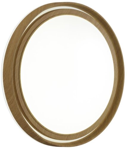 Настенно-потолочный светильник Sonex 7640/AL