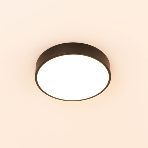 Потолочный светильник Citilux CL72424V1