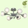 Потолочная люстра Lussole LGO GRLSP-0141