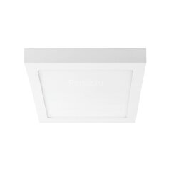 Настенно-потолочный светильник Lightstar 324122