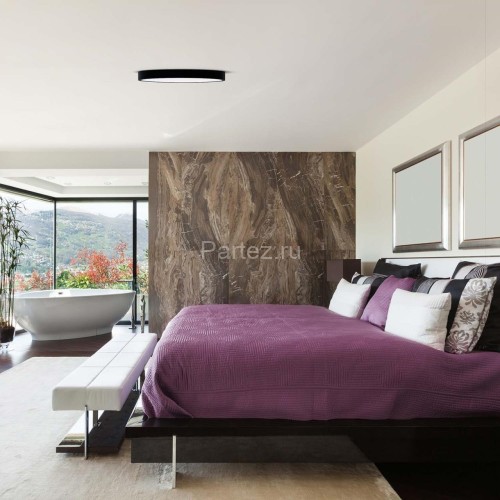 Потолочный светильник F-Promo 4685-8C