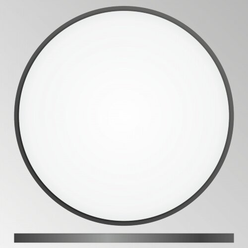 Потолочный светильник Citilux CL738501V