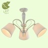 Потолочная люстра Lussole LGO GRLSP-8061