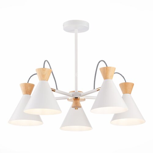 Потолочная люстра Evoluce SLE125102-05