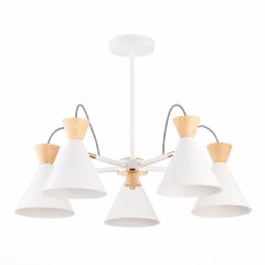 Потолочная люстра Evoluce SLE125102-05