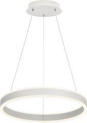 Подвесной светильник Citilux CL719400