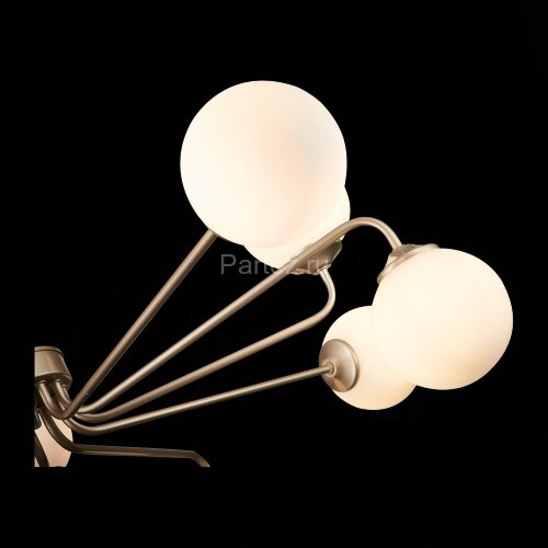 Потолочная люстра ST Luce SLE106203-12