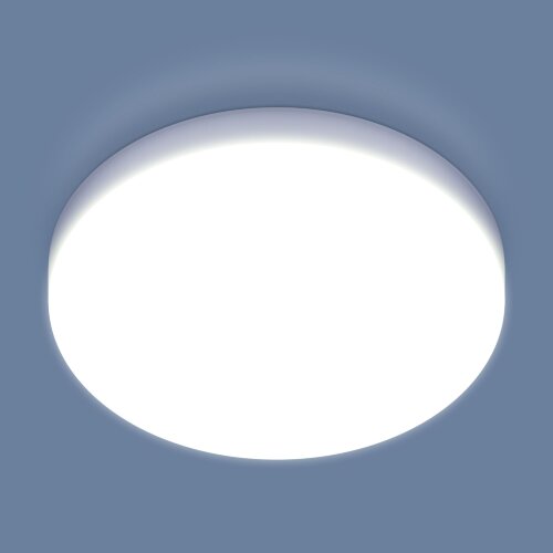 Потолочный светильник Elektrostandard DLR043