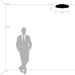 Потолочный светильник Lightstar 804020