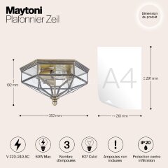 Потолочная люстра Maytoni H356-CL-03-BZ