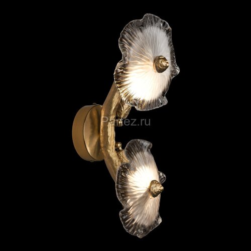 Настенный светильник Loft It 10352/2W AB